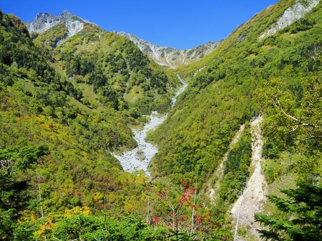 自然を愛するゴルファーのゴルフ会員権